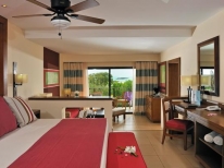 Junior Suite The Level